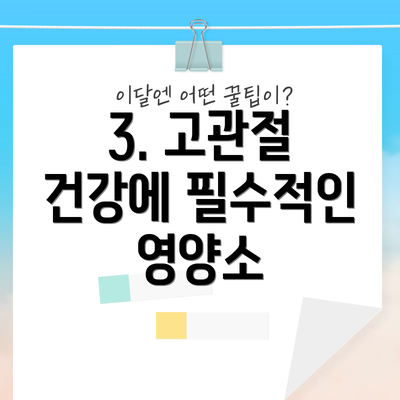 3. 고관절 건강에 필수적인 영양소
