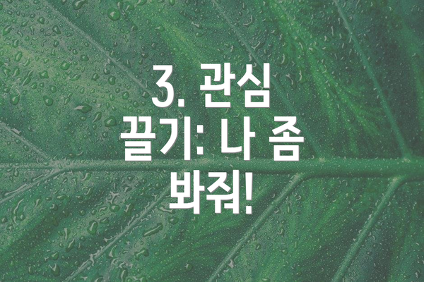 3. 관심 끌기: 나 좀 봐줘!