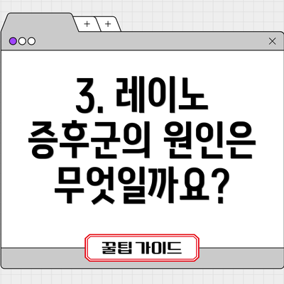 3. 레이노 증후군의 원인은 무엇일까요?