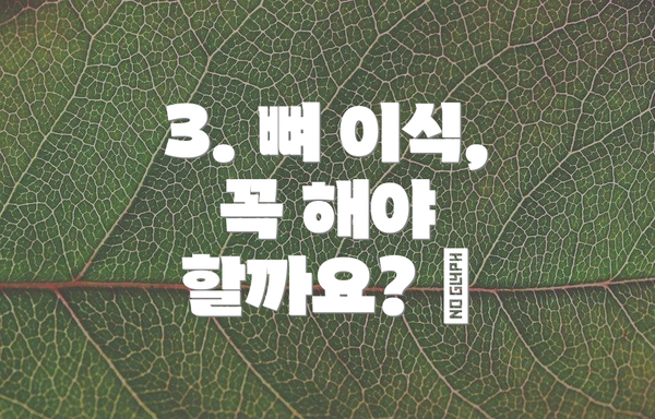 3. 뼈 이식, 꼭 해야 할까요? 🤔