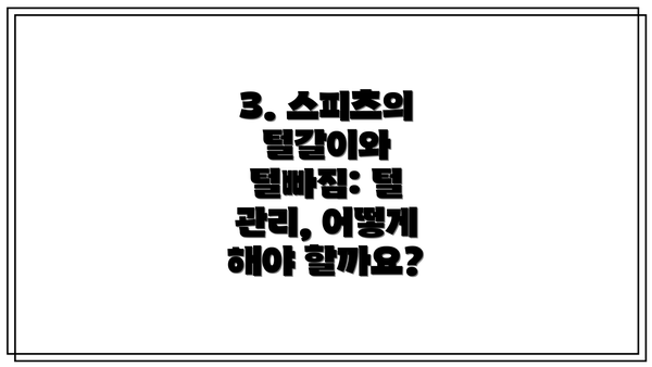 3. 스피츠의 털갈이와 털빠짐: 털 관리, 어떻게 해야 할까요?