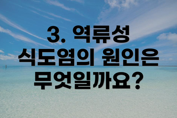 3. 역류성 식도염의 원인은 무엇일까요?