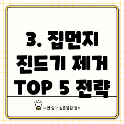 3. 집먼지 진드기 제거 TOP 5 전략