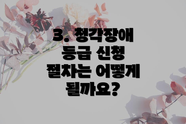 3. 청각장애 등급 신청 절차는 어떻게 될까요?