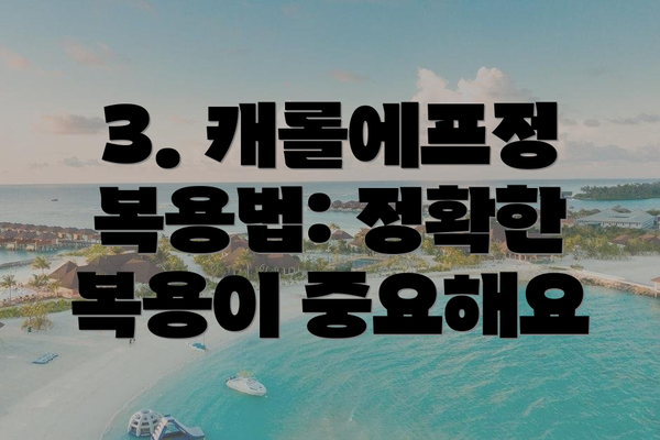 3. 캐롤에프정 복용법: 정확한 복용이 중요해요