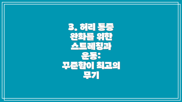 3. 허리 통증 완화를 위한 스트레칭과 운동:  꾸준함이 최고의 무기