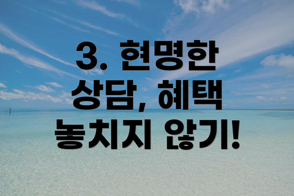 3. 현명한 상담, 혜택 놓치지 않기!