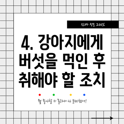 4. 강아지에게 버섯을 먹인 후 취해야 할 조치