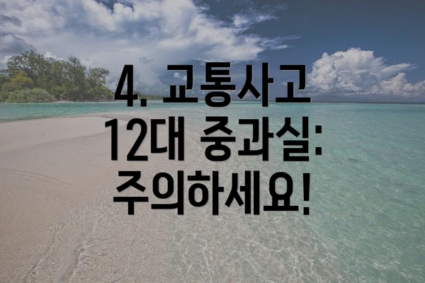 4. 교통사고 12대 중과실: 주의하세요!