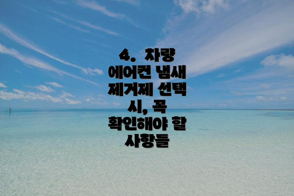 4.  차량 에어컨 냄새 제거제 선택 시, 꼭 확인해야 할 사항들