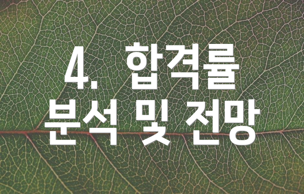 4.  합격률 분석 및 전망