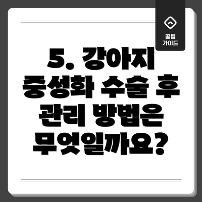 5. 강아지 중성화 수술 후 관리 방법은 무엇일까요?
