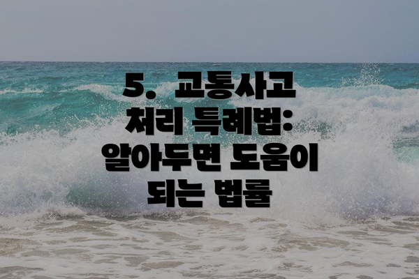 5.  교통사고 처리 특례법:  알아두면 도움이 되는 법률