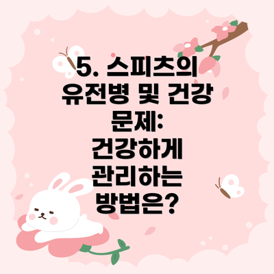 5. 스피츠의 유전병 및 건강 문제:  건강하게 관리하는 방법은?
