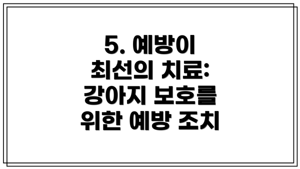5. 예방이 최선의 치료: 강아지 보호를 위한 예방 조치