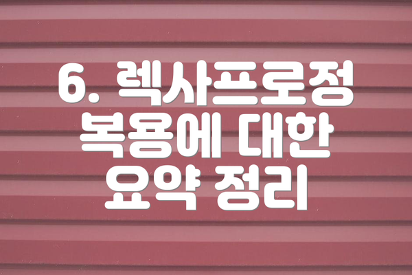 6. 렉사프로정 복용에 대한 요약 정리