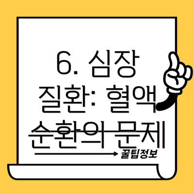 6. 심장 질환: 혈액 순환의 문제