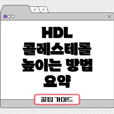HDL 콜레스테롤 높이는 방법 요약