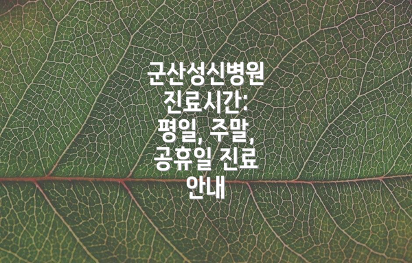 군산성신병원 진료시간:  평일, 주말, 공휴일 진료 안내