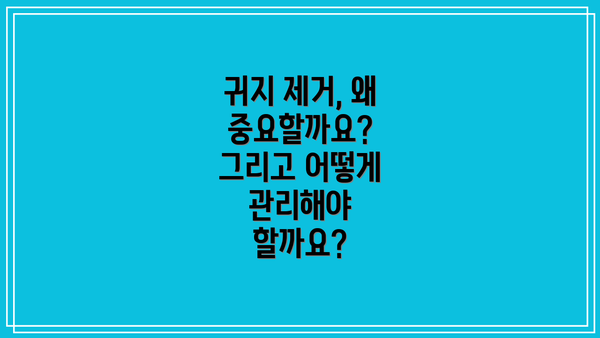 귀지 제거, 왜 중요할까요?  그리고 어떻게 관리해야 할까요?