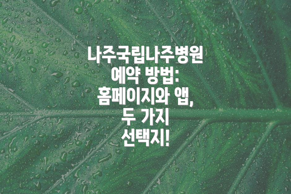 나주국립나주병원 예약 방법: 홈페이지와 앱, 두 가지 선택지!