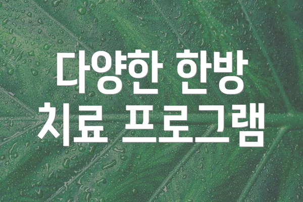 다양한 한방 치료 프로그램