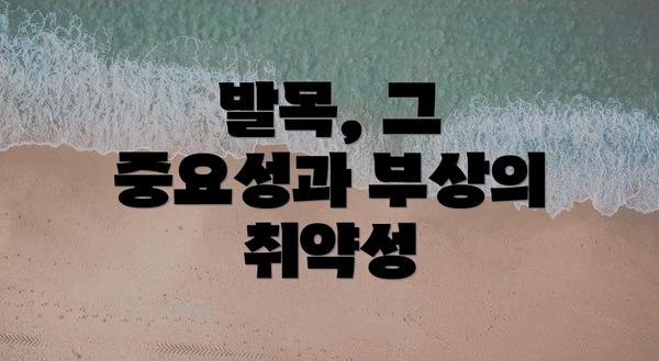 발목, 그 중요성과 부상의 취약성