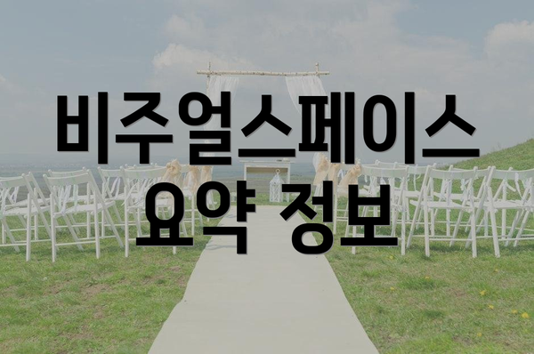 비주얼스페이스 요약 정보