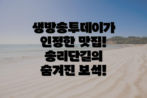 생방송투데이가 인정한 맛집! 송리단길의 숨겨진 보석!