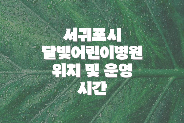 서귀포시 달빛어린이병원 위치 및 운영 시간
