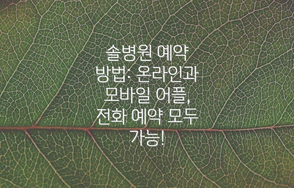 솔병원 예약 방법: 온라인과 모바일 어플, 전화 예약 모두 가능!