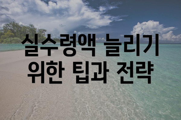 실수령액 늘리기 위한 팁과 전략
