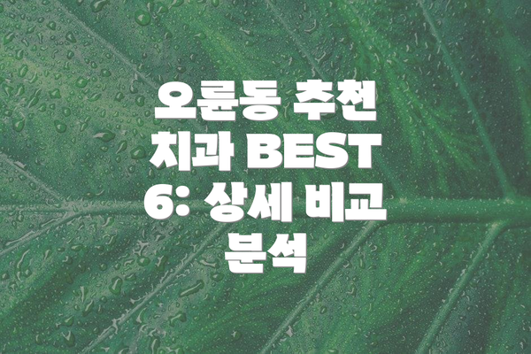 오륜동 추천 치과 BEST 6: 상세 비교 분석
