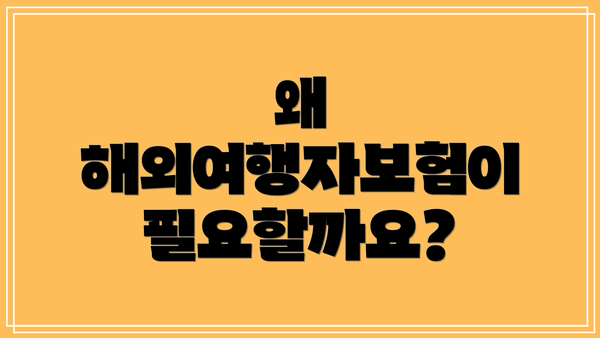 왜 해외여행자보험이 필요할까요?