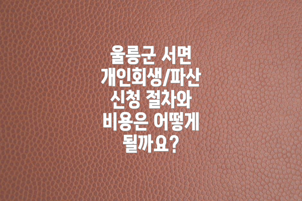 울릉군 서면 개인회생/파산 신청 절차와 비용은 어떻게 될까요?