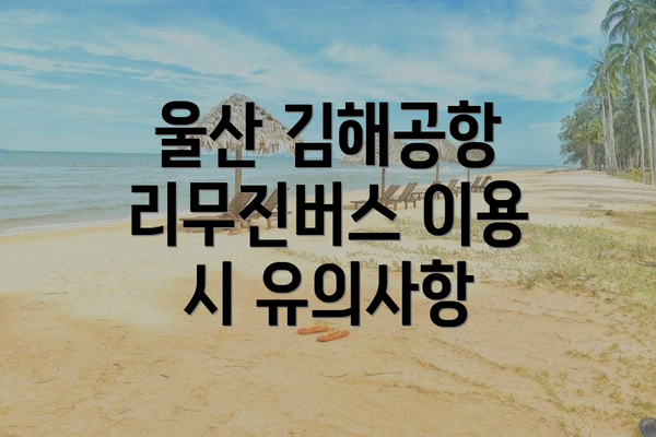 울산 김해공항 리무진버스 이용 시 유의사항