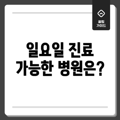 일요일 진료 가능한 병원은?