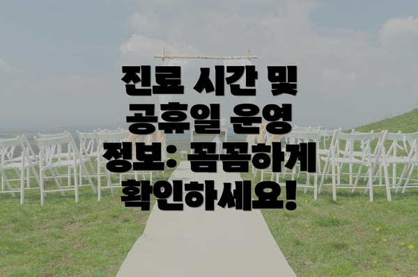 진료 시간 및 공휴일 운영 정보: 꼼꼼하게 확인하세요!