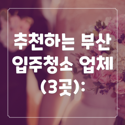 추천하는 부산 입주청소 업체 (3곳):