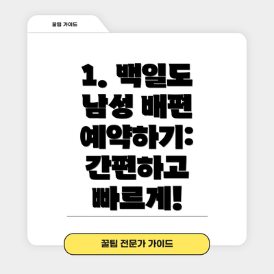 1. 백일도 남성 배편 예약하기: 간편하고 빠르게!