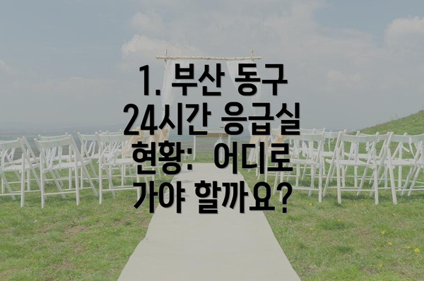 1. 부산 동구 24시간 응급실 현황:  어디로 가야 할까요?