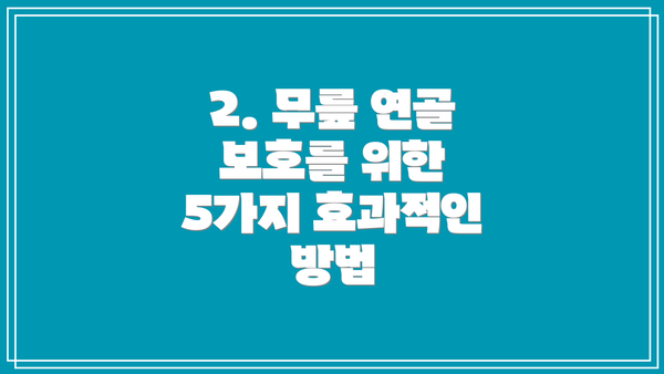 2. 무릎 연골 보호를 위한 5가지 효과적인 방법