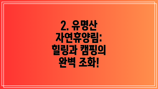 2. 유명산 자연휴양림: 힐링과 캠핑의 완벽 조화!