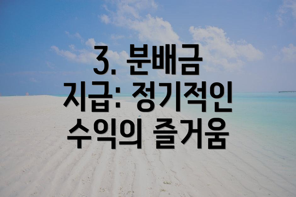 3. 분배금 지급: 정기적인 수익의 즐거움
