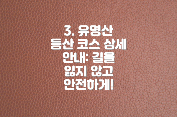 3. 유명산 등산 코스 상세 안내: 길을 잃지 않고 안전하게!