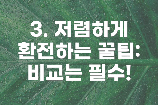 3. 저렴하게 환전하는 꿀팁: 비교는 필수!