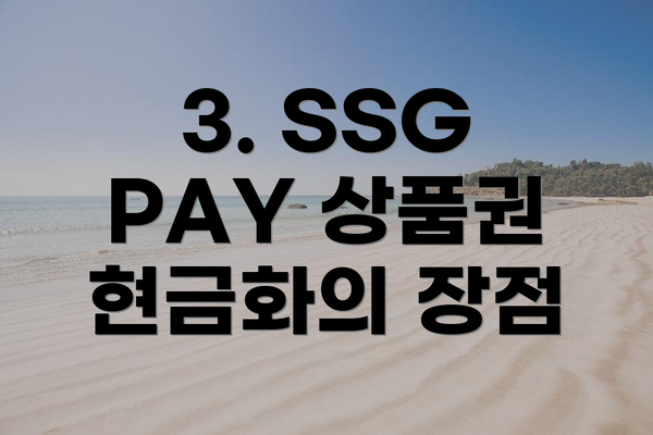 3. SSG PAY 상품권 현금화의 장점