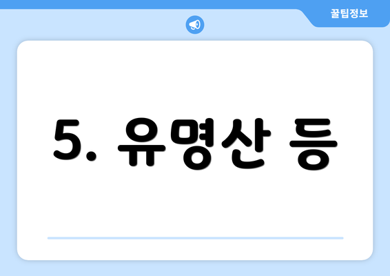 5. 유명산 등