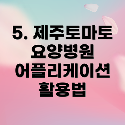 5. 제주토마토요양병원 어플리케이션 활용법